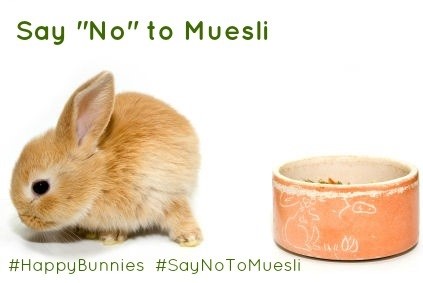 rabbit say-no-to-muesli.jpg